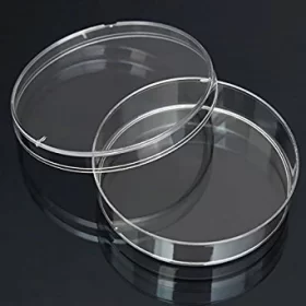 Petri Dish